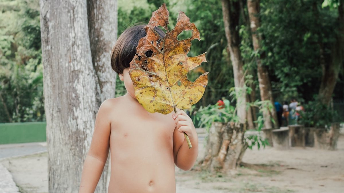 Obesidade infantil cresce no Brasil: um alerta para famílias e profissionais de saúde